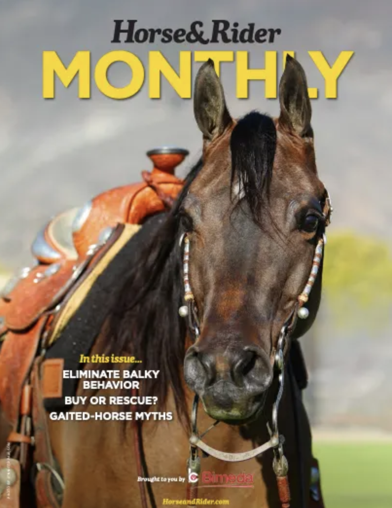 Horse&Rider Monthly